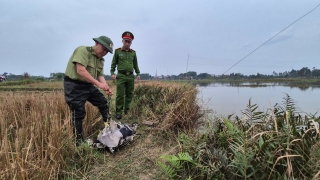 Bắc Ninh: Xử lý, ngăn chặn nhiều vụ săn bắt chim hoang dã